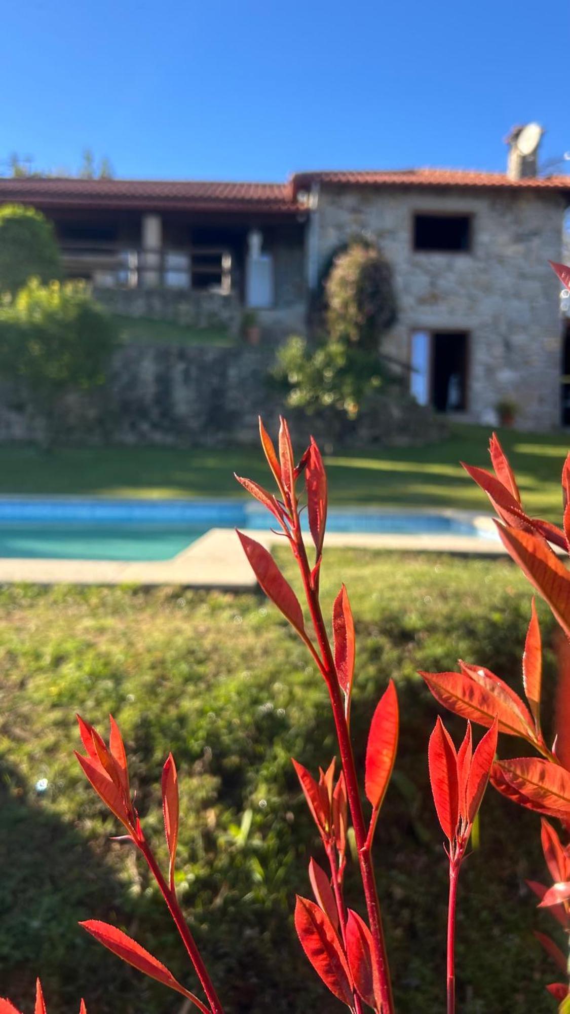 Casa Das Andorinhas Celorico De Basto Exteriér fotografie